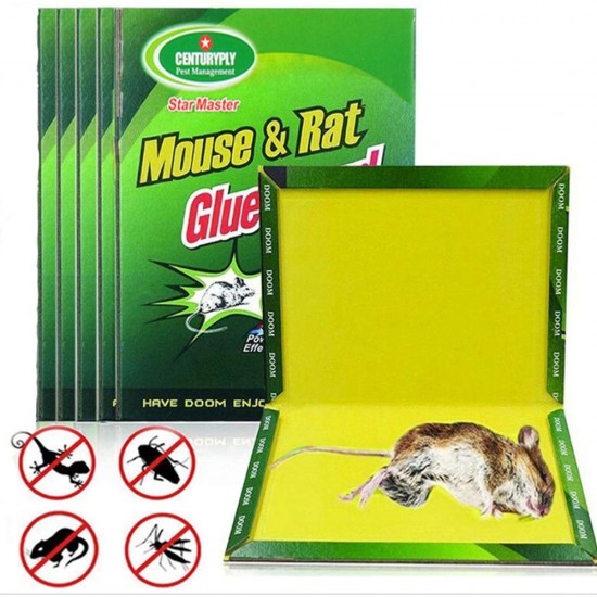 RAT AND MOUSE GLUE TRAP GREEN PALM 